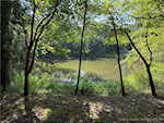 4379 W Wild Willow Ln Paoli IN 47454 | MLS 2025010027 Photo 10