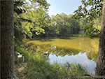 4379 W Wild Willow Ln Paoli IN 47454 | MLS 2025010027 Photo 2