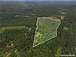 7414 E Pilot Knob Rd Milltown IN 47145 | MLS 202509992 Photo 3