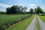 3619 Kepley Rd Georgetown IN 47122 | MLS 2025010290 Photo 70