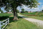 3619 Kepley Rd Georgetown IN 47122 | MLS 2025010290 Photo 69