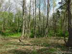 3201 N Nubian Rd Salem IN 47167 | MLS 2025010298 Photo 29