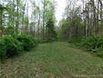 3201 N Nubian Rd Salem IN 47167 | MLS 2025010298 Photo 7