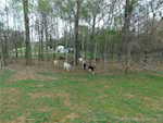 3201 N Nubian Rd Salem IN 47167 | MLS 2025010298 Photo 23