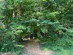 1106 Pinewood Dr Lanesville IN 47136 | MLS 2025010345 Photo 61