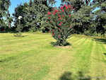 100 S Shady Ln Salem IN 47167 | MLS 2025010294 Photo 6