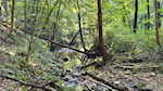 1-2600 S County Road 1000 W French Lick IN 47432 | MLS 2025010578 Photo 35