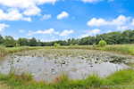 1637 S County Road 675 E Paoli IN 47454 | MLS 2025010477 Photo 46
