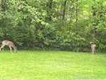 261 Indian Hills Dr Ne Corydon IN 47112 | MLS 2025010523 Photo 19