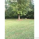261 Indian Hills Dr Ne Corydon IN 47112 | MLS 2025010523 Photo 12