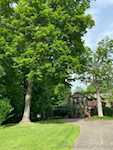261 Indian Hills Dr Ne Corydon IN 47112 | MLS 2025010523 Photo 7