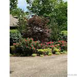 261 Indian Hills Dr Ne Corydon IN 47112 | MLS 2025010523 Photo 5