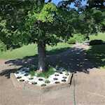 261 Indian Hills Dr Ne Corydon IN 47112 | MLS 2025010523 Photo 4