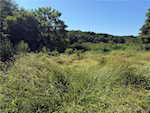 3920 N Cr 1000 W Butlerville IN 47223 | MLS 2025010661 Photo 19