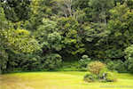 7297 Corydon Ridge Rd Lanesville IN 47136 | MLS 2025010459 Photo 60