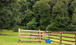 7297 Corydon Ridge Rd Lanesville IN 47136 | MLS 2025010459 Photo 59