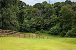 7297 Corydon Ridge Rd Lanesville IN 47136 | MLS 2025010459 Photo 58