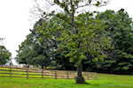 7297 Corydon Ridge Rd Lanesville IN 47136 | MLS 2025010459 Photo 55
