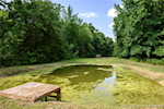 710 English Ave Austin IN 47102 | MLS 2025010519 Photo 31
