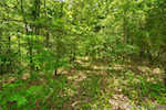 3686 S Hatfield Rd English IN 47118 | MLS 202507618 Photo 32