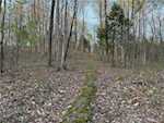 3686 S Hatfield Rd English IN 47118 | MLS 202507618 Photo 38