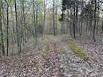 3686 S Hatfield Rd English IN 47118 | MLS 202507618 Photo 35