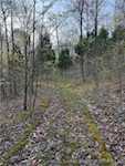 3686 S Hatfield Rd English IN 47118 | MLS 202507618 Photo 34
