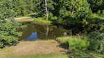 2233 E Radio Tower Rd Scottsburg IN 47170 | MLS 2025010742 Photo 8