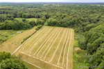 6429 E Blocher Rd Lexington IN 47138 | MLS 2025010758 Photo 52