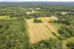 6429 E Blocher Rd Lexington IN 47138 | MLS 2025010758 Photo 53