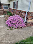 1610 Northaven Dr Jeffersonville IN 47130 | MLS 2025010710 Photo 17