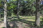 4543 S Calloway Dr Hardinsburg IN 47125 | MLS 2025010813 Photo 38