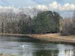 1696 N Shea Rd Lexington IN 47138 | MLS 2025010714 Photo 9