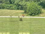 1696 N Shea Rd Lexington IN 47138 | MLS 2025010714 Photo 13