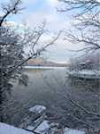 1613 Bayview Dr Borden IN 47106 | MLS 2025010839 Photo 89
