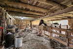 11409 Highway 150 Greenville IN 47124 | MLS 2025010905 Photo 7