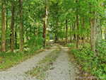 8995 Loggins Rd Ne Georgetown IN 47122 | MLS 2025010934 Photo 53