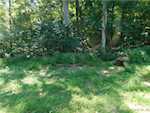6225 S Williams Knob Rd Pekin IN 47165 | MLS 2024011090 Photo 9