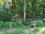 6225 S Williams Knob Rd Pekin IN 47165 | MLS 2024011090 Photo 8