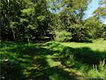 6225 S Williams Knob Rd Pekin IN 47165 | MLS 2024011090 Photo 3
