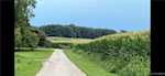 11219 Hiddenview Farm Rd Marysville IN 47141 | MLS 2025010947 Photo 21