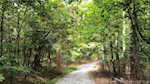 11219 Hiddenview Farm Rd Marysville IN 47141 | MLS 2025010947 Photo 20