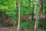 11219 Hiddenview Farm Rd Marysville IN 47141 | MLS 2025010947 Photo 14