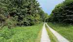 11219 Hiddenview Farm Rd Marysville IN 47141 | MLS 2025010947 Photo 39