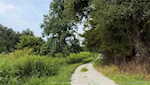 11219 Hiddenview Farm Rd Marysville IN 47141 | MLS 2025010947 Photo 37