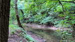 11219 Hiddenview Farm Rd Marysville IN 47141 | MLS 2025010947 Photo 35