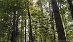 11219 Hiddenview Farm Rd Marysville IN 47141 | MLS 2025010947 Photo 33