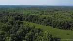 11219 Hiddenview Farm Rd Marysville IN 47141 | MLS 2025010947 Photo 32