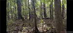 11219 Hiddenview Farm Rd Marysville IN 47141 | MLS 2025010947 Photo 26