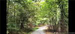 11219 Hiddenview Farm Rd Marysville IN 47141 | MLS 2025010947 Photo 23